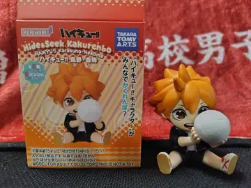 하이큐!! Hide&Seek 히나타 쇼요 (배구)