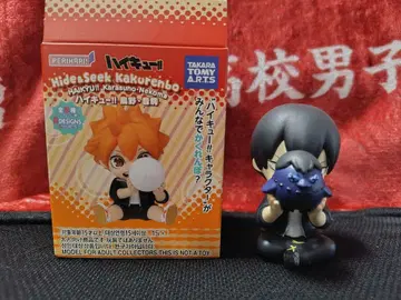 하이큐!! Hide&Seek 카게야마 토비오 (카게라스)