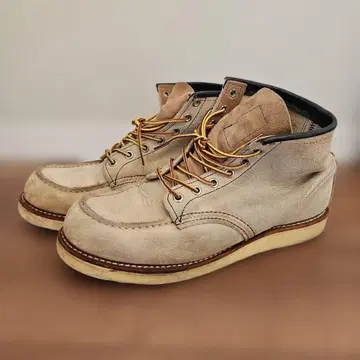 레드윙 아이리쉬 세터 8173