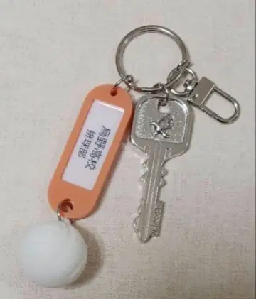 하이큐 트레이딩 고등학교 이름 포함 열쇠 참 키링 카라스노