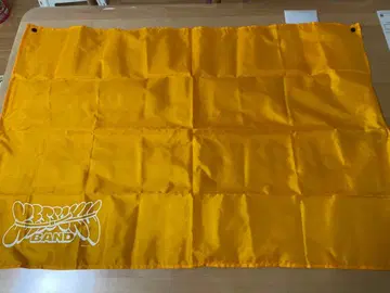 마감 밴드 JJ2025 굿즈 피크닉 시트