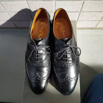 로이드풋웨어 윙팁 블랙 6E