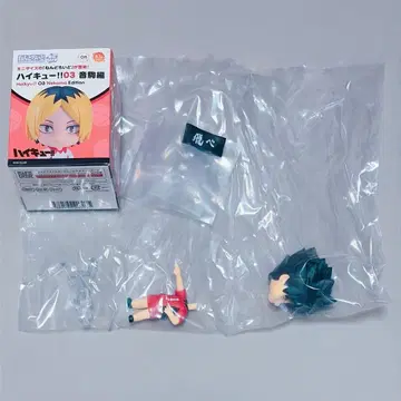 하이큐 넨도로이드 서프라이즈 네코마 쿠로오 테츠로