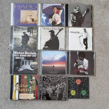 하루하타 미치야 앨범 CD 싱글 CD 11장 세트 TUBE