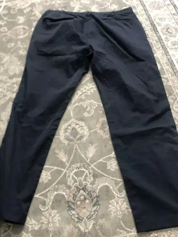 빔즈 플러스 Sage de crest 팬츠