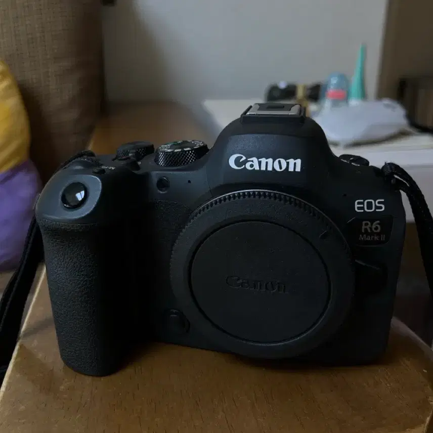 캐논 R6 Mark 2
