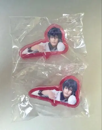 에이스테 아크릴 클립 우스이 마스미