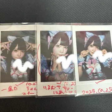 드레스 코드 오토기 리루무 사인 댓글 폴라로이드