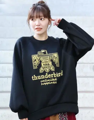 티티카카 썬더버드 프린트 풀오버