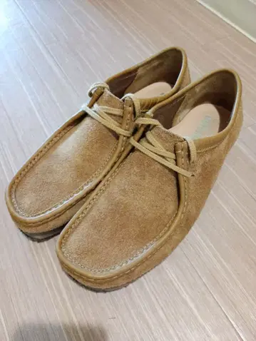 클락스 왈라비 유나이티드 애로우즈 별주