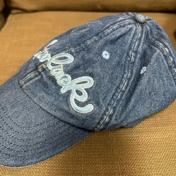 에비수 데님 야구 모자