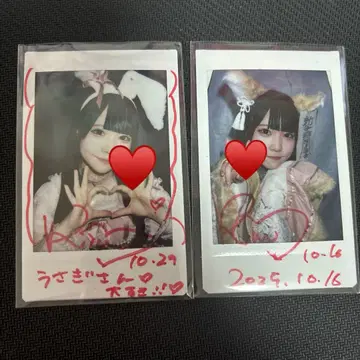 드레스 코드 오토기 리루무 사인 댓글 폴라로이드