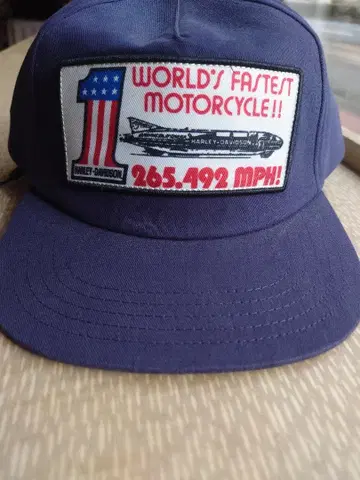 할리데이비슨 야구 모자