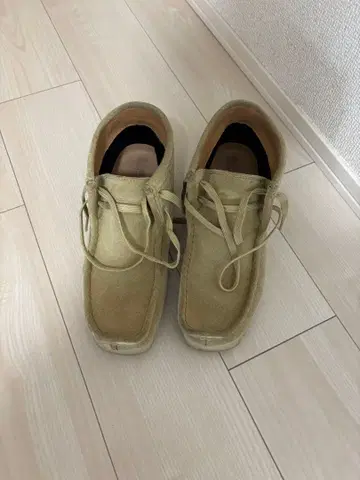 빔스 클락스 와라비