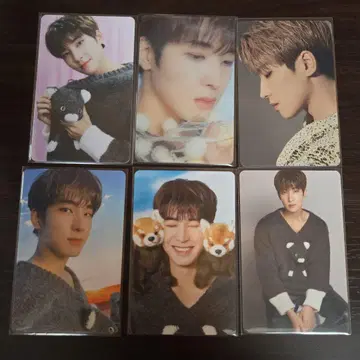 SEVENTEEN 세부치 dicon 원우 트레이딩 카드