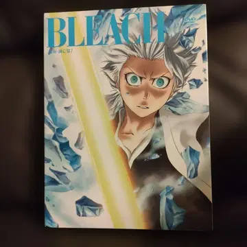 BLEACH DVD 제7권