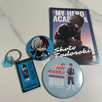 나의 히어로 아카데미아 쇼토 토도로키 4세트