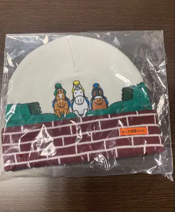 Welcome 찬스 나카야마 대상해 니트 모자 니트캡 오가와 주리