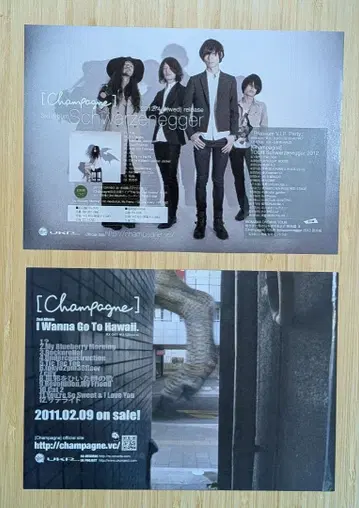 Champagne 플라이어1 Alexandros 산드로 카와카미 요헤이