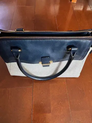 사자비의 핸드백