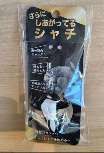 더욱 완성된 범고래 SnowMan 이와모토 히카루