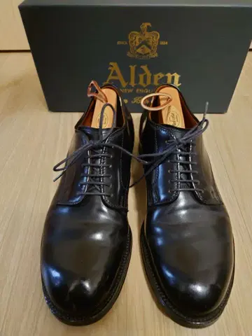 컨디션 최상 Alden 53511 드레스 슈즈 6.5D 알든