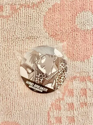 WIND BREAKER 윈브레 타키시야 캔뱃지