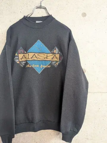 TULTEX 블랙 맨투맨 알래스카 M