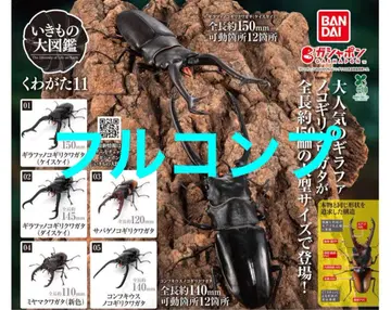 [ 5종 풀컴프 ] 사슴벌레11 생물대도감 5