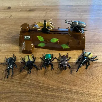 아니아 곤충 모음 장수풍뎅이 사슴벌레 나무