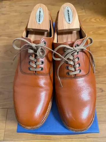 SANDERS 샌더스 플레인토 UK 8 라이트 브라운