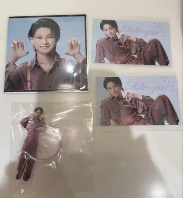 키타가와 나오야 캐터리어 랜덤 스퀘어 브로마이드 란브로 시바얀