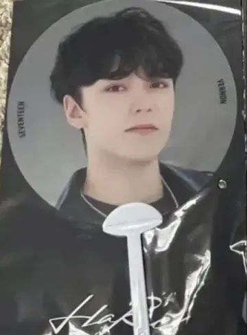 버논 SEVENTEEN 스켈레톤 부채