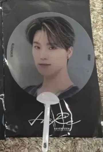 디노 DINO SEVENTEEN 스켈레톤 부채