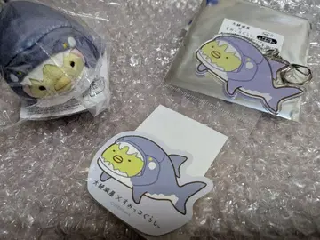 대절멸전 스미코구라시 펭귄? 덩크 로오스테우스 테노리 봉제 인형 키링