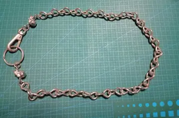 스컬 지갑 체인