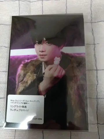 Club 캐터리아 반지 라이트 특전 브로마이드 포메