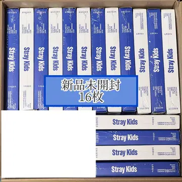 StrayKids 스키즈 KARMA 앨범 일반ver 미개봉 세트