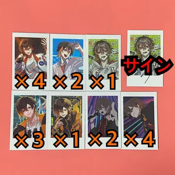 사인 포함 샤케미 폴라로이드 18장 세트