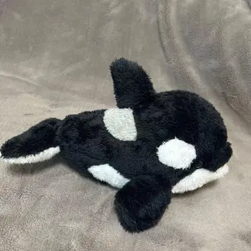 범고래 봉제 인형