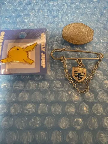 가정교사 히트맨 REBORN 핀즈 핀 배지