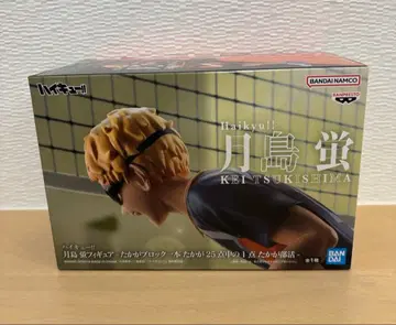 하이큐 츠키시마 케이 피규어 미개봉 새상품