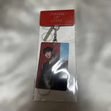 SEVENTEEN WONWOO 세부치 원우 카드 키링