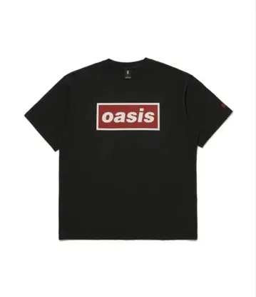오아시스 리바이스 t셔츠 일본 사이즈 L