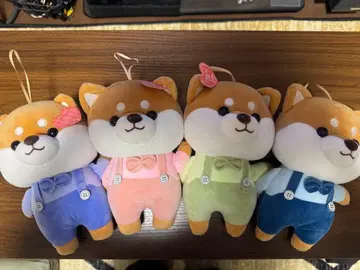 시바견 봉제 인형 4개 세트