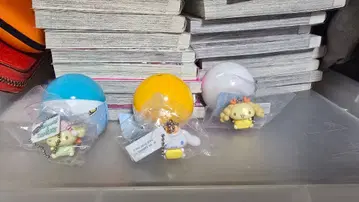 시나몬 롤 쿠라스시 피규어 클리어 파일