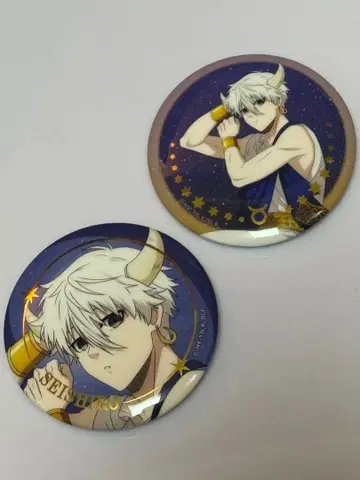 블루 록 나기 세이시로 별자리 모습 금박 캔뱃지