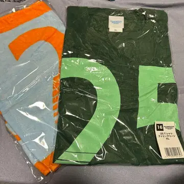 SUMMER SONIC 25 T셔츠 XL 아이비 그린 세트