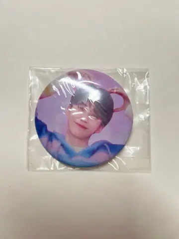 SEVENTEEN 정한 캔뱃지 popup DREAM