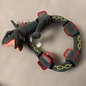 포켓몬스터 블랙 레쿠자